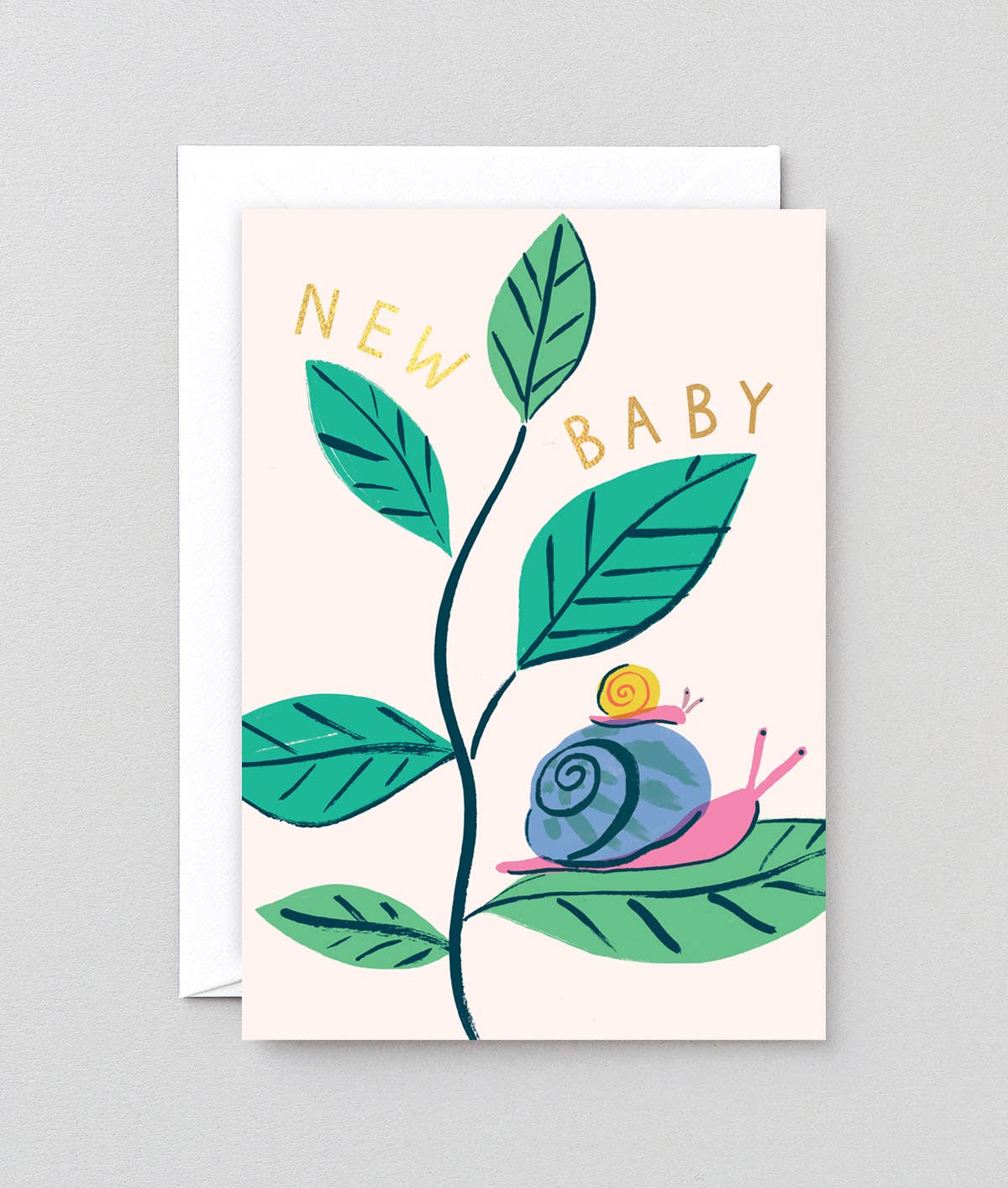 ‘New Baby Snails’ Greetings Card