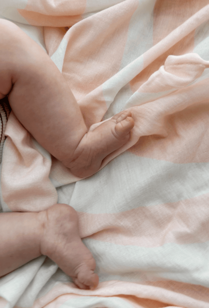 Organic Strawberry Sorbet Ripples Swaddle