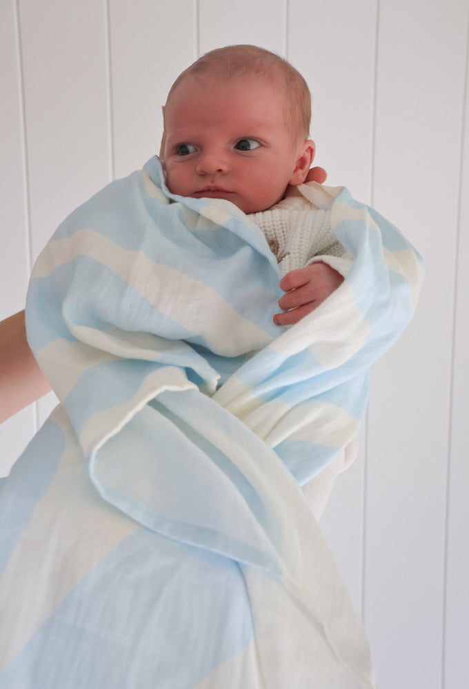 Organic Blueberry Sorbet Ripples Swaddle