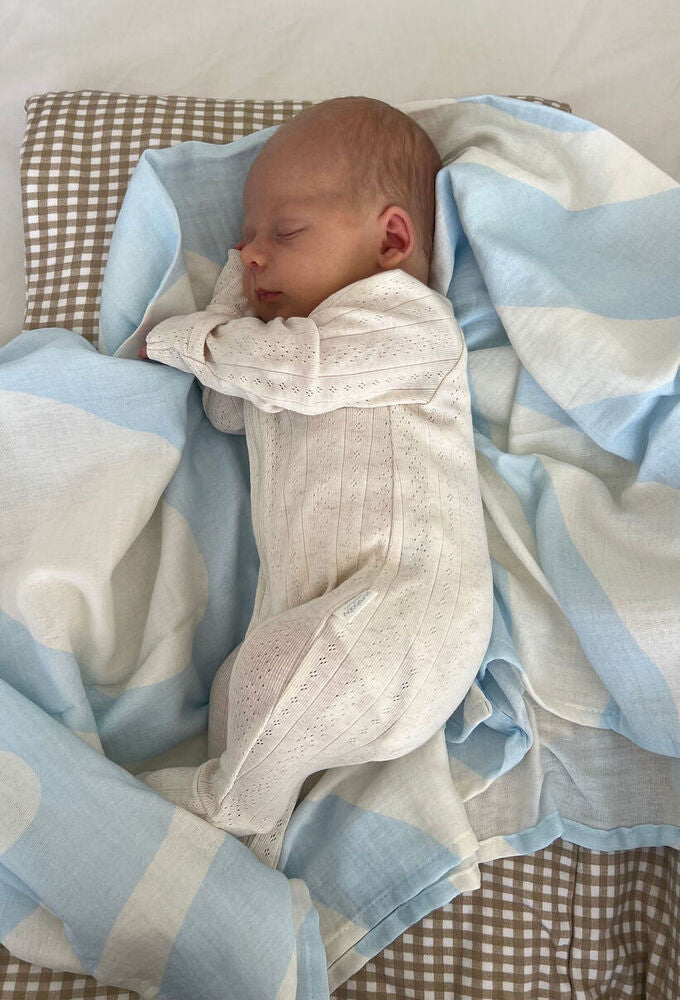 Organic Blueberry Sorbet Ripples Swaddle