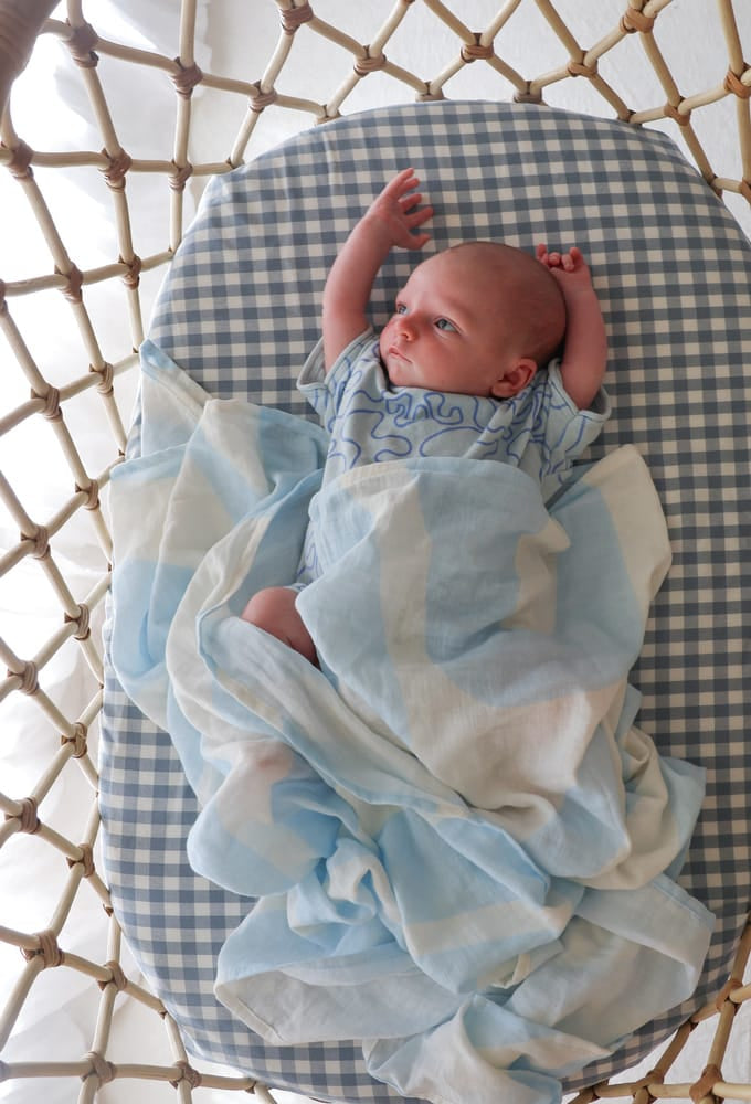 Slate Gingham Organic Fitted Sheet
