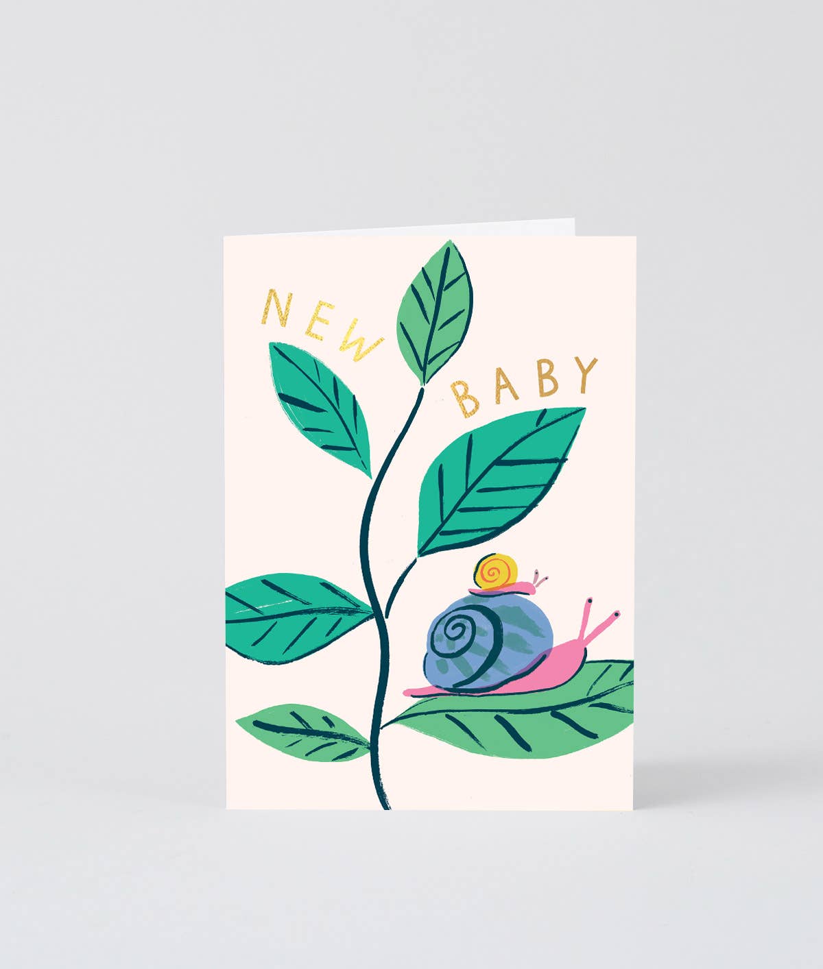 ‘New Baby Snails’ Greetings Card