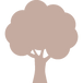 Trees planted